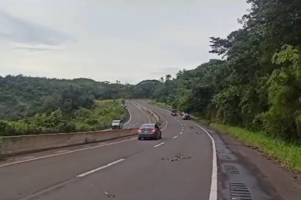 Conductor fallece cuando su auto chocó con un árbol en Veraguas