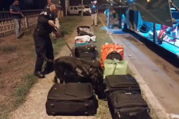 Durante allanamiento a un bus de la ruta David- Panamá policía ubica 28 paquetes de presunta droga