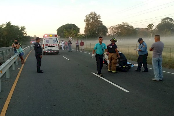 Muerte por atropello en Chiriquí