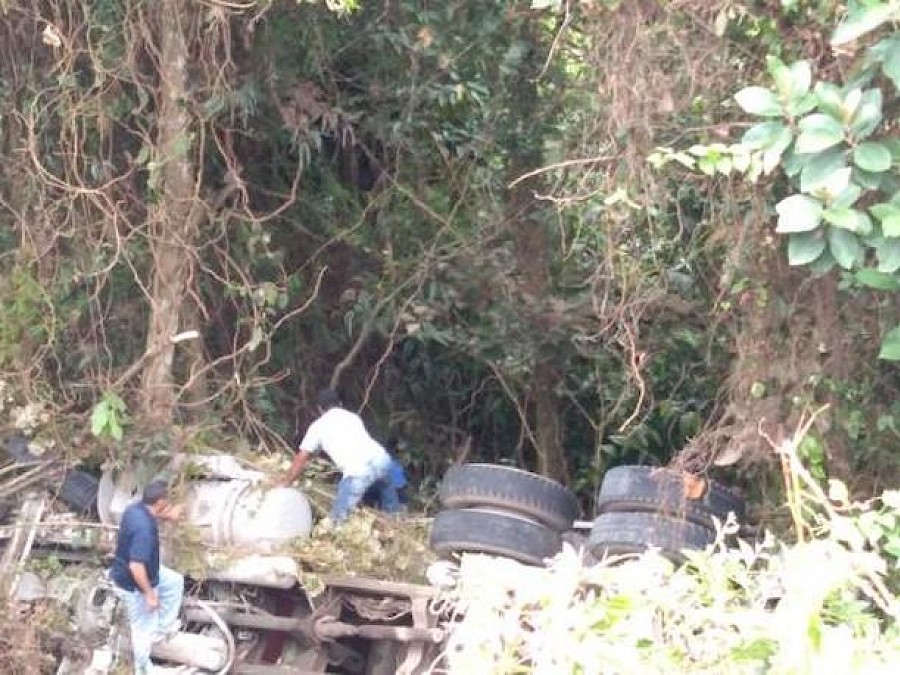 Conductor de camión cae a un precipicio y se salva