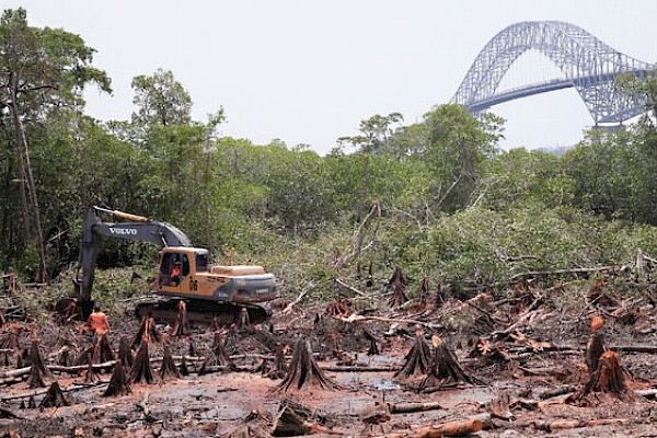 Este año no iniciará la construcción del cuarto puente