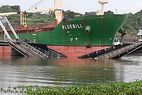 El Ferrocarril de Panamá interrumpirá el servicio por 15 días tras choque de buque con el puente de Gamboa