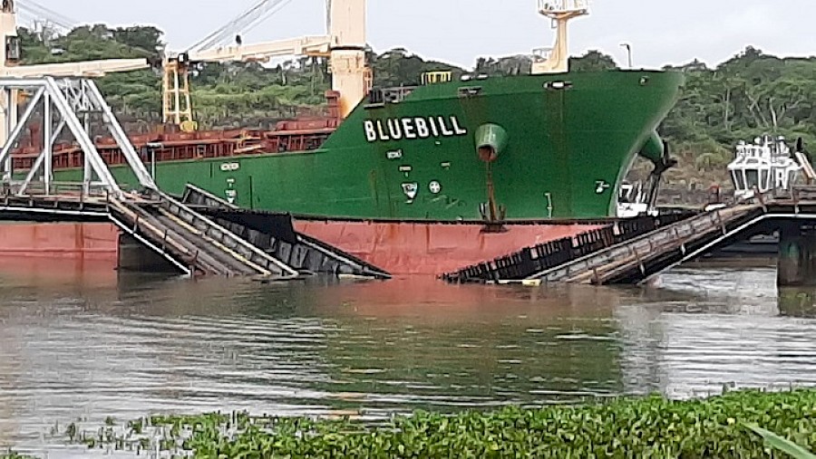 El Ferrocarril de Panamá interrumpirá el servicio por 15 días tras choque de buque con el puente de Gamboa