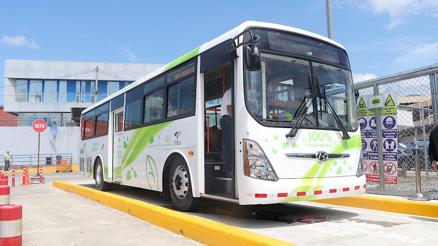 Mibus inicia plan piloto de seis meses con dos buses a gas natural