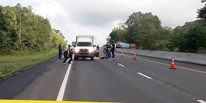 Un muerto por atropello en la provincia de Chiriquí