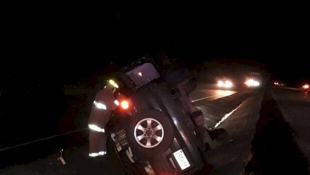 Dos accidentes por un animal en soltura