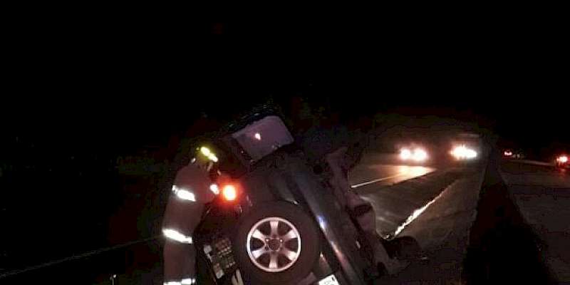 Dos accidentes por un animal en soltura