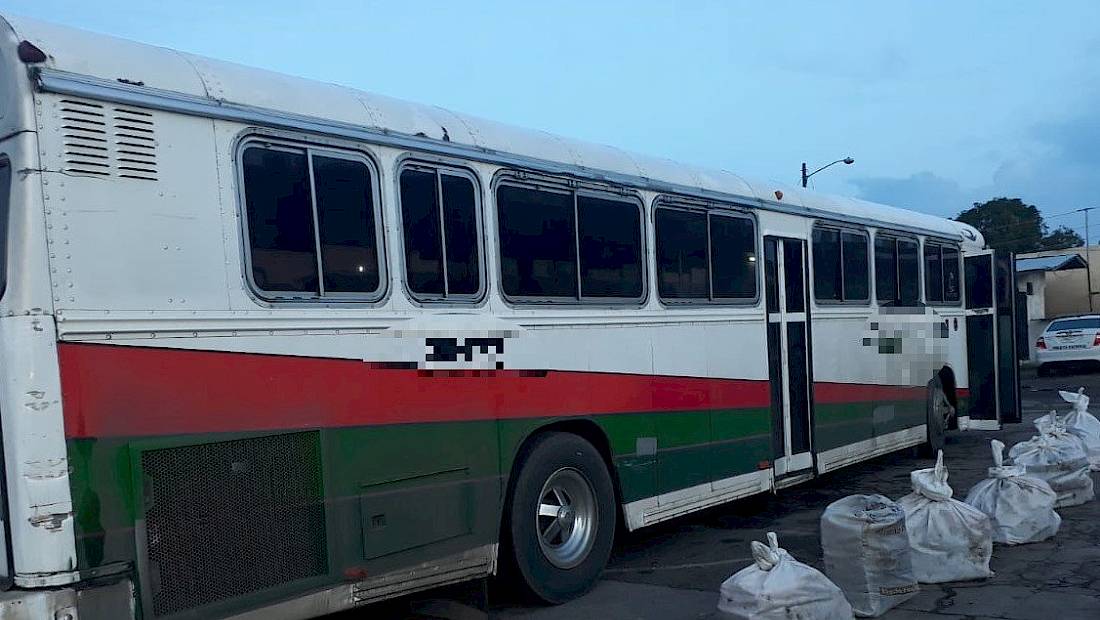 Decomisan cargamento de droga en un bus
