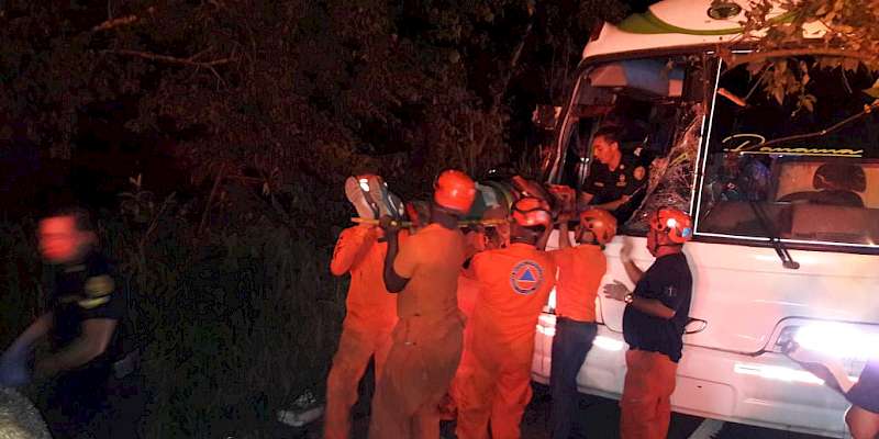 Árbol cae sobre bus en Panamá Oeste