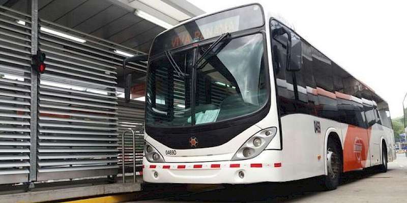 MiBus anuncia desvíos en Calidonia por procesión de Don Bosco