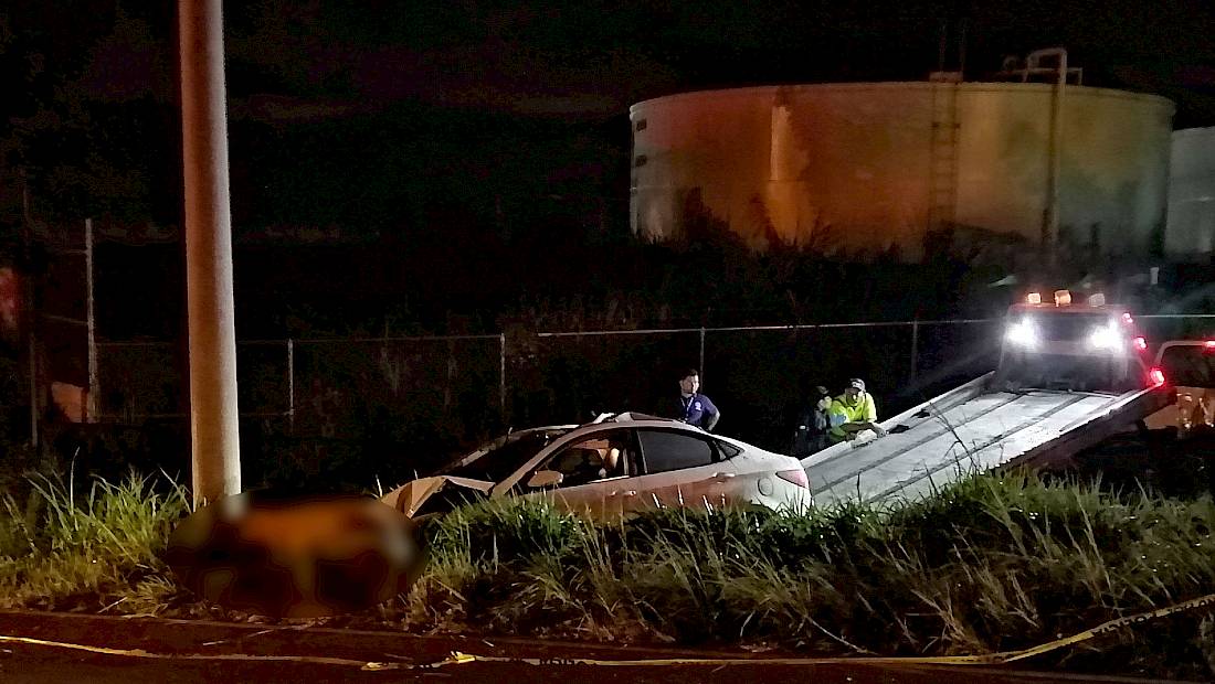 Vaca suelta ocasiona accidente fatal, en Nuevo Emperador