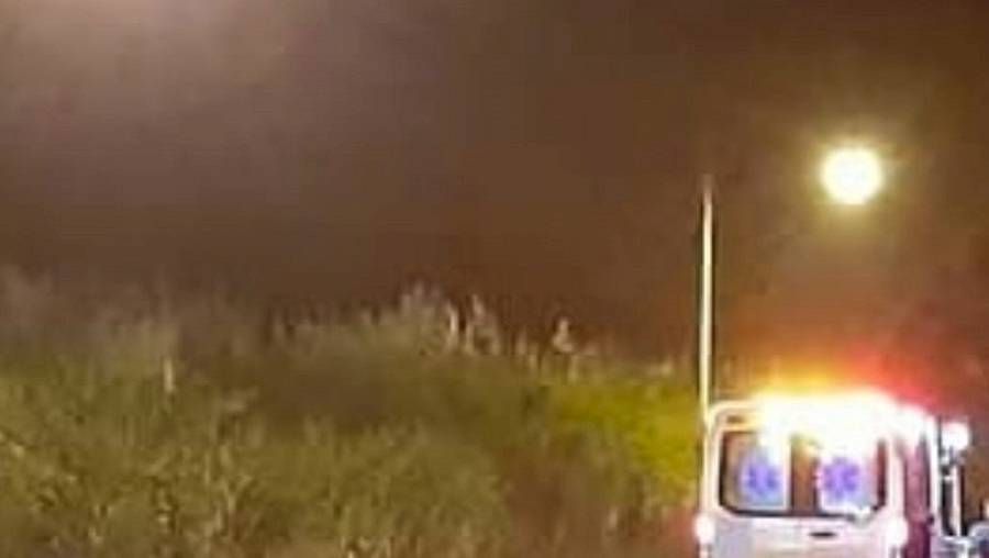 Hombre muere atropellado en Dos Ríos en Colón