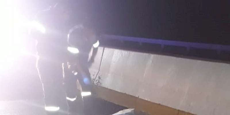 Víctima por atropello en Santa Marta Chiriquí