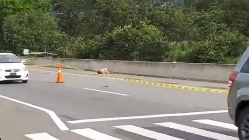Víctima por atropello en Chiriquí