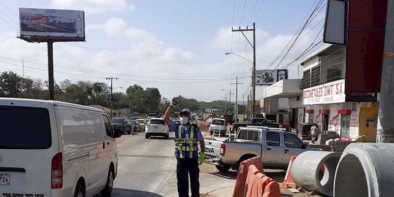 Se suspende provisionalmente la sanción por placa vencida, desacato y se extiende vigencia de licencias de conducir