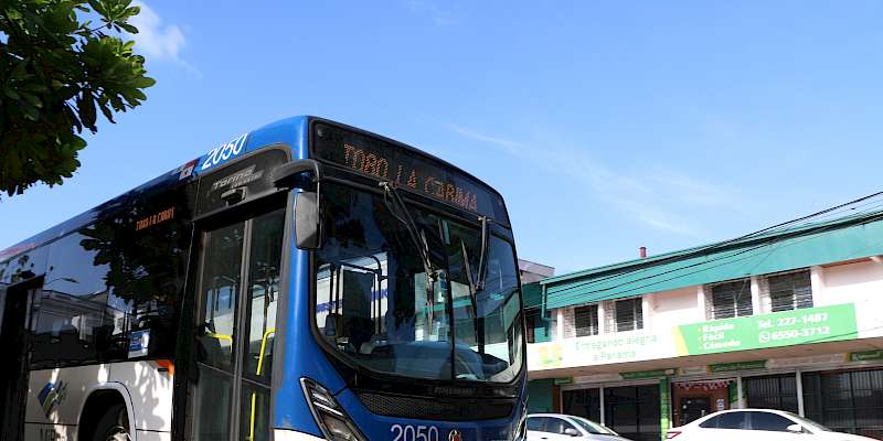 MiBus brindará servicio gratis a las mujeres el 8 de marzo