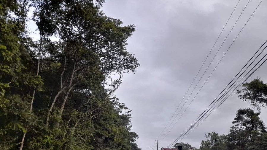 Otra víctima fatal en la vía Omar Torrijos Herrera en el área Forestal