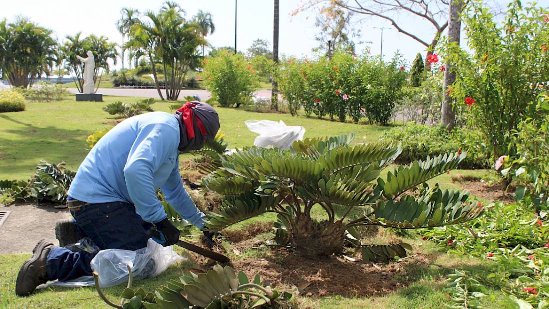 Inician trabajos de mantenimiento y recuperación de la Cinta Costera I, II, III, Mirador del Pacífico y Calzada de Amador