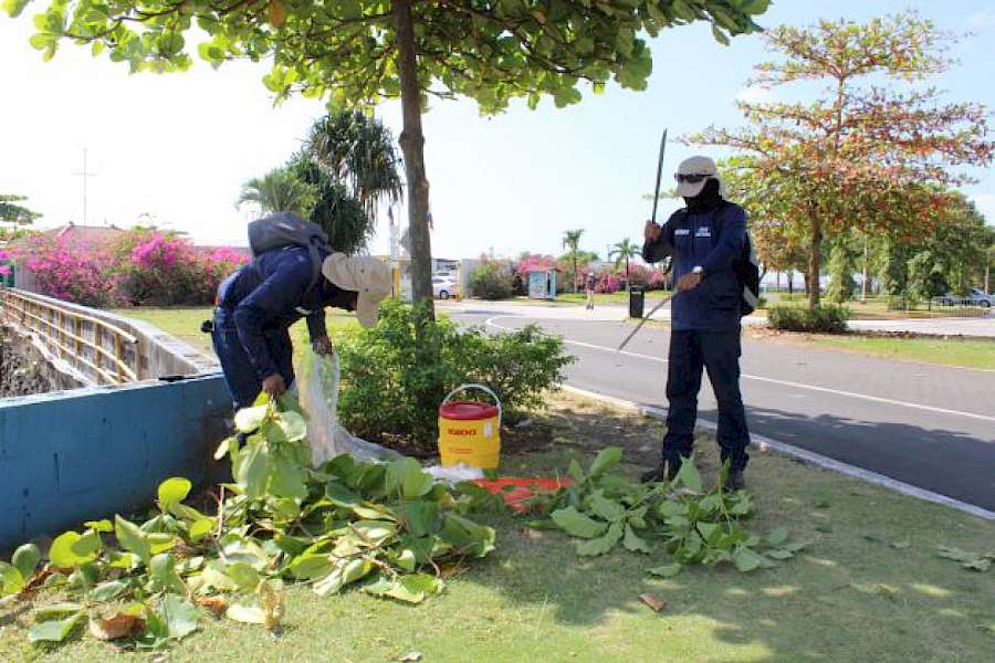 Sexta semana de mantenimiento en la Cinta Costera I, II, III, Mirador del Pacífico y Calzada de Amador
