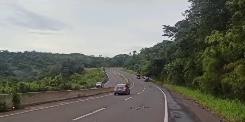 Conductor fallece cuando su auto chocó con un árbol en Veraguas