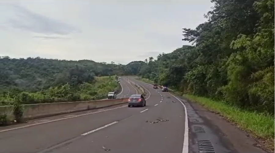 Conductor fallece cuando su auto chocó con un árbol en Veraguas