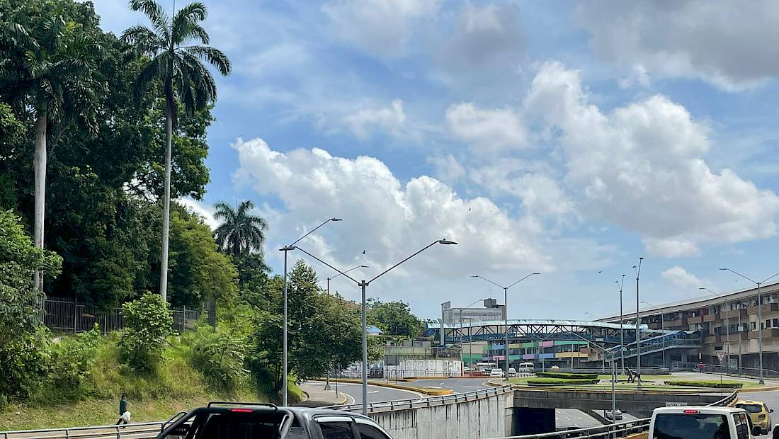 Dos muertos por atropello en Avenida de Los Mártires