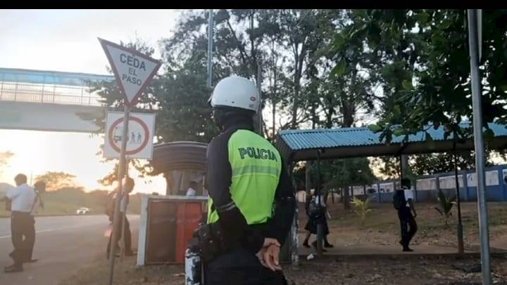 DNOT: 30 muertes por atropello en lo que va del año