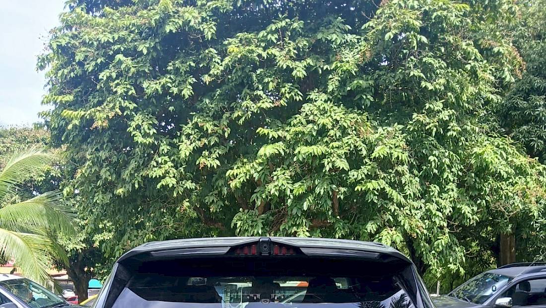 Arrojan maletín con sustancia ilícita desde un auto en el Puente de Las Américas