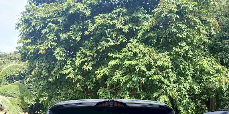 Arrojan maletín con sustancia ilícita desde un auto en el Puente de Las Américas